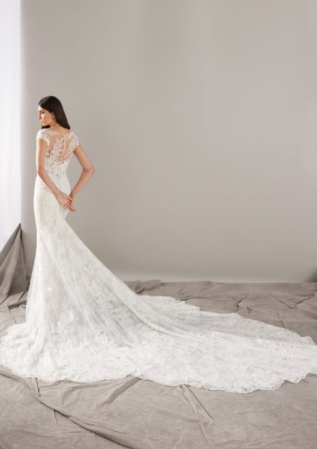 robes de mariées, pronovias