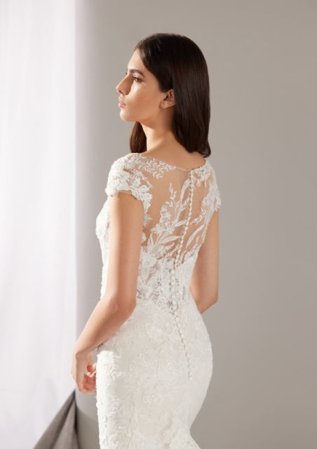 robes de mariées, pronovias